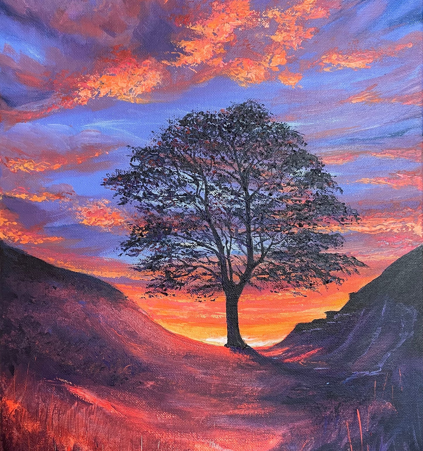 Sycamore Gap Card Collection - Pack of Four Greetings Cards