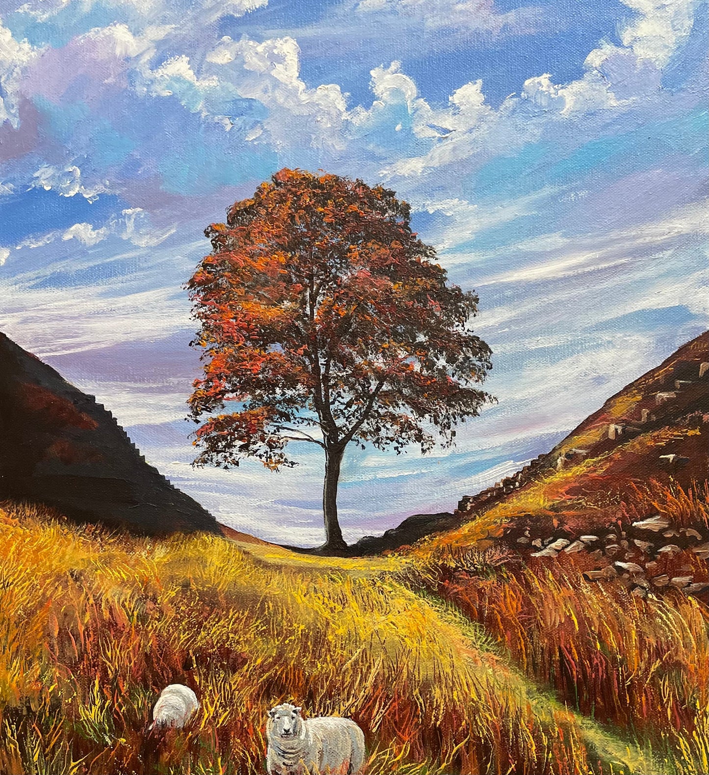 Sycamore Gap Card Collection - Pack of Four Greetings Cards