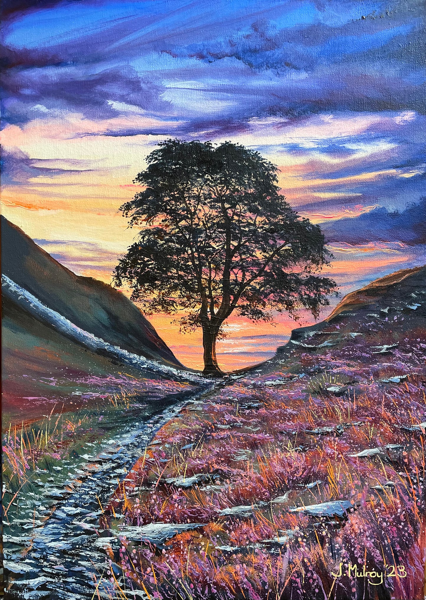 Sycamore Gap IV, The Sycamore and the Heather - Canvas Print