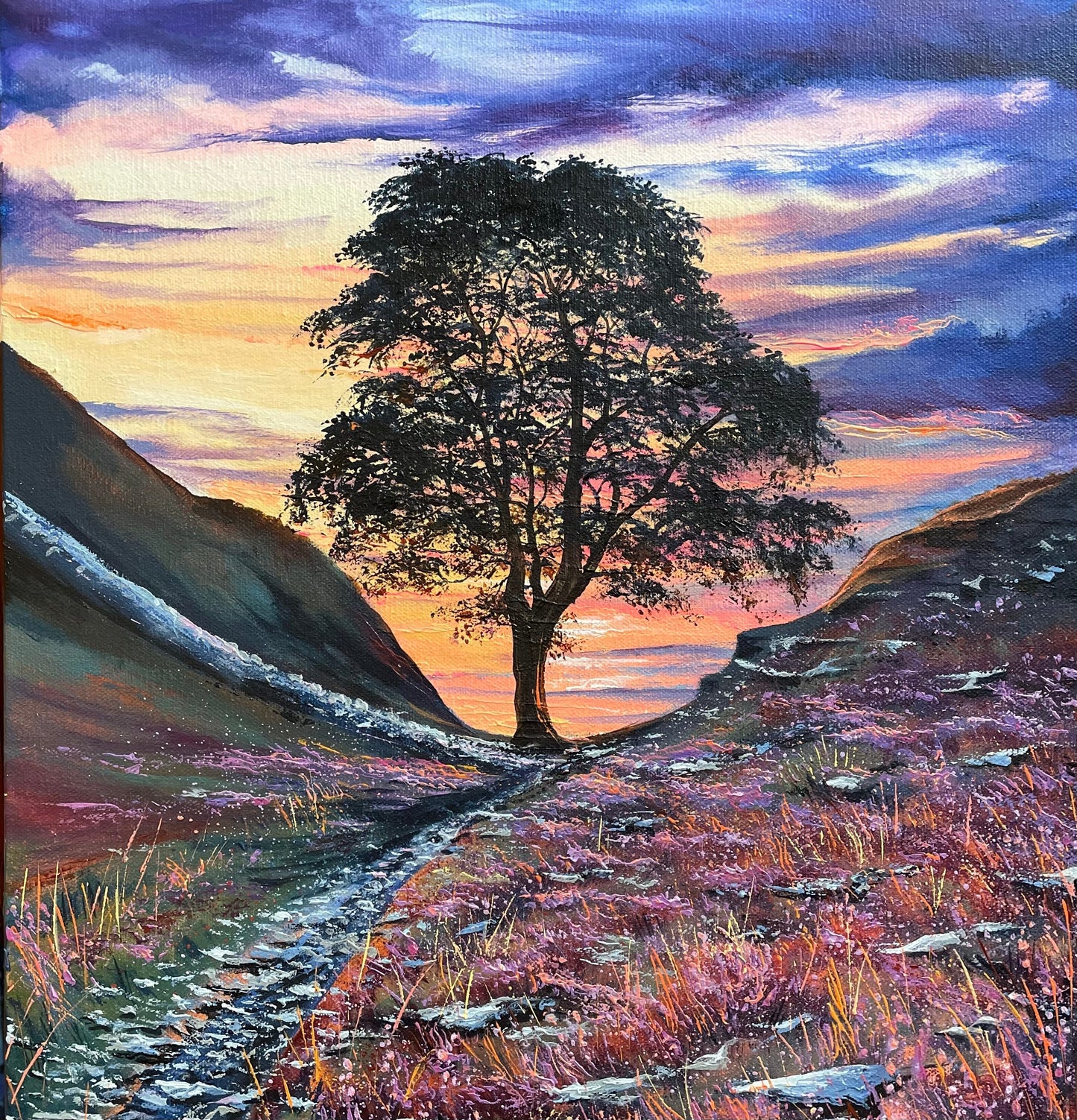 Sycamore Gap Card Collection - Pack of Four Greetings Cards