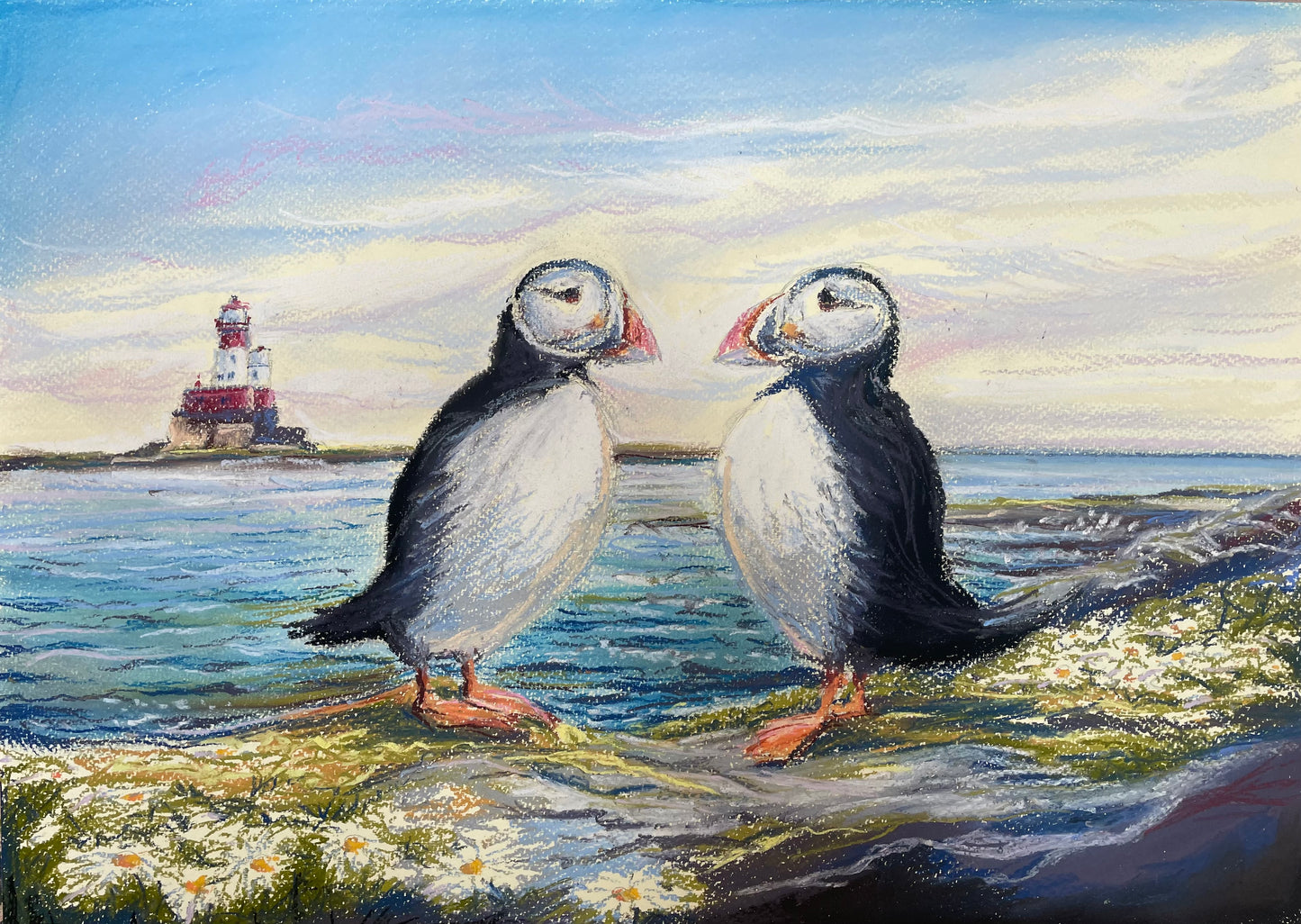 ‘Puffins in conversation’- Limited Edition Print