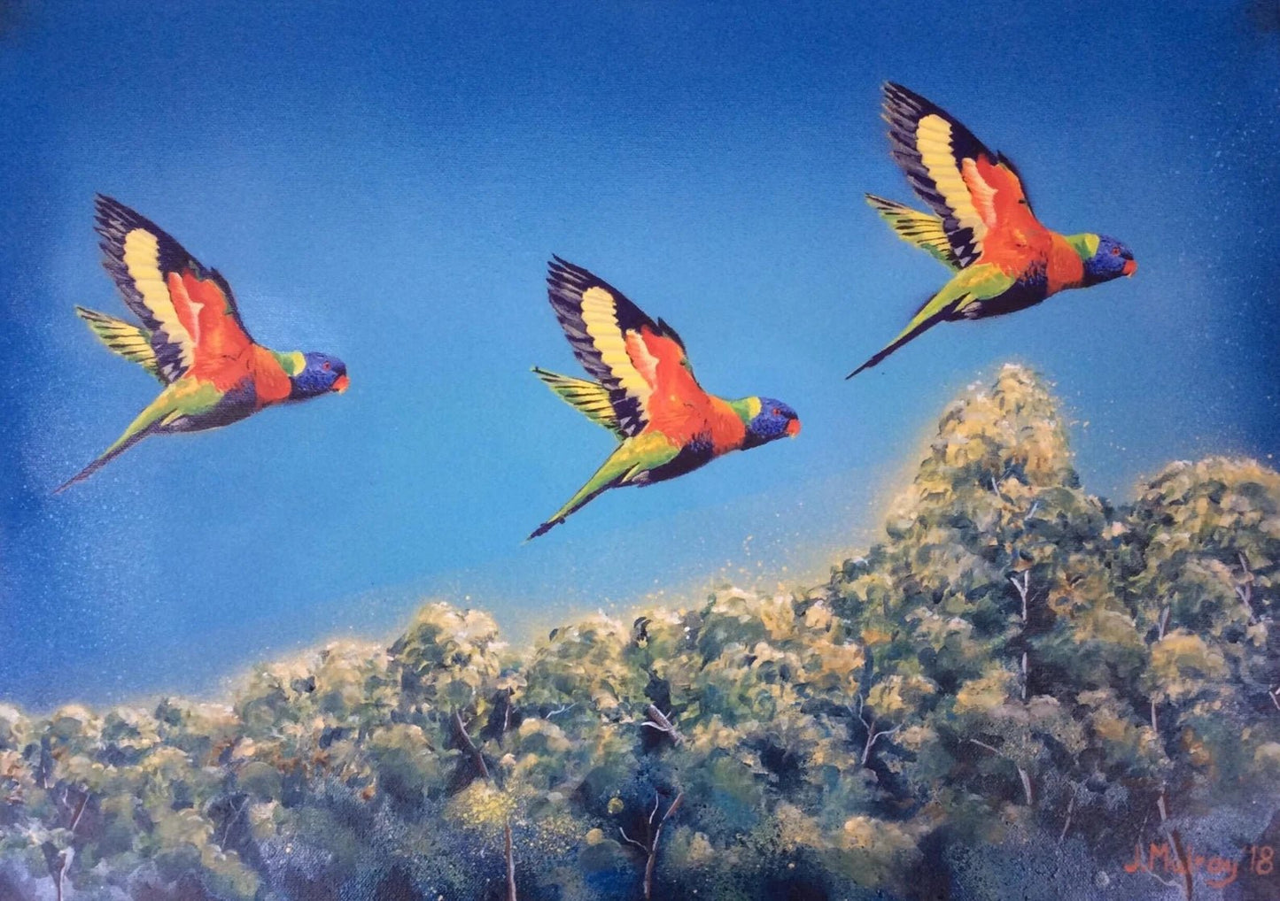 Rainbow Lorikeets, Australia - Limited Edition Print - Arty Joe