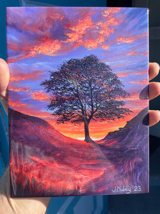Sycamore Gap Sunrise - Decorative Tile