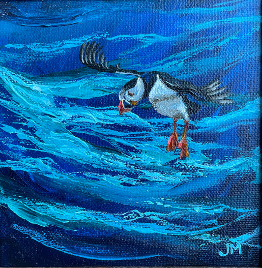 Puffin III - Original framed mini