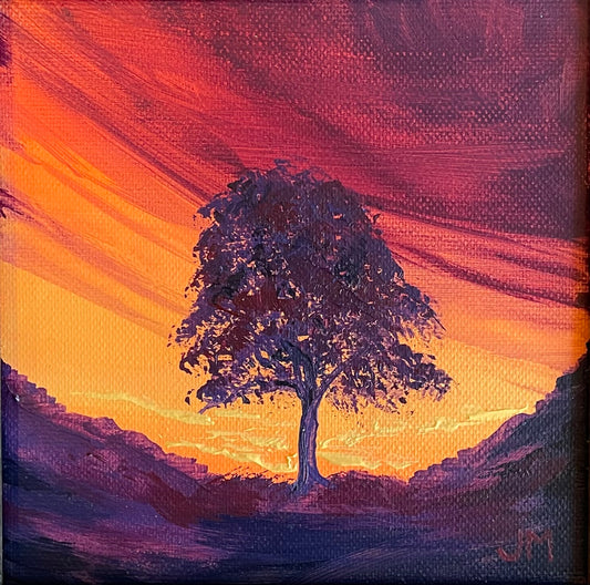 Sycamore Gap Sunrise II - Original framed mini