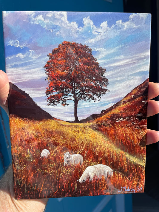 Sycamore Gap, Autumn Shades - Decorative Tile