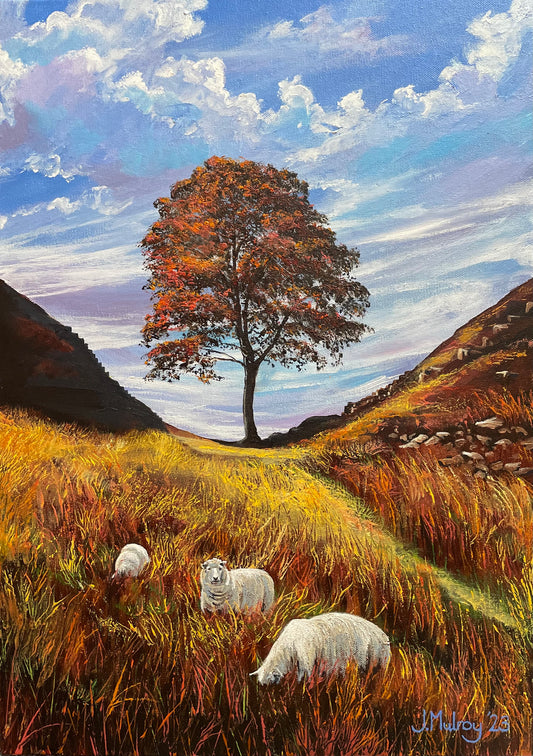 Sycamore Gap III, Autumn shades  - Original Acrylic on Canvas